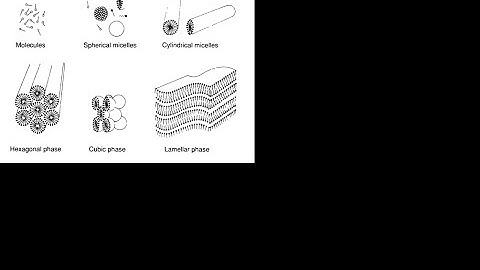 1. Introduction to Statistical Physics 1