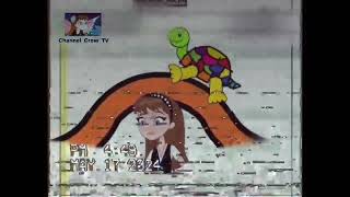 BabyTV Art Moda Tortuga Este