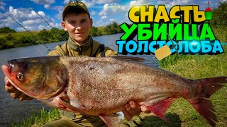 ЭТО ЛУЧШАЯ СНАСТЬ ДЛЯ ЛОВЛИ ТОЛСТОЛОБА! ЛОВЛЯ ТОЛСТОЛОБА НА ТЕХНОПЛАНКТОН. РЫБАЛКА НА ТОЛСТОЛОБА