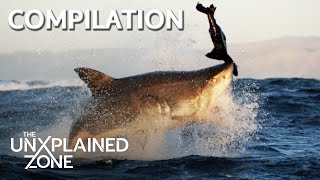 Top 4 STRANGEST PHENOMENA | Compilation | The Proof Is Out There | The UnXplained Zone