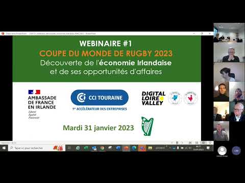 Vidéo: L'économie irlandaise : stades de développement et industries clés