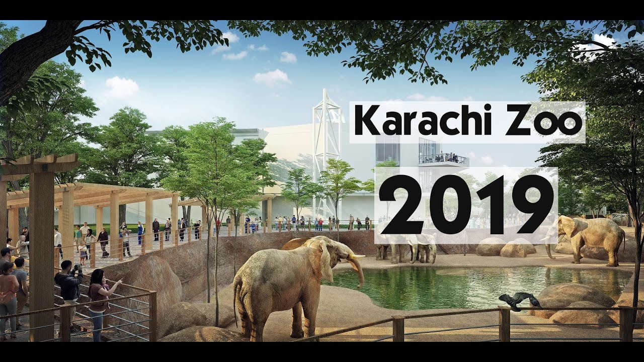 Роль зоопарков. Karachi Zoo Карачи. Парк с людьми. Город зоо. Ростовский зоопарк.