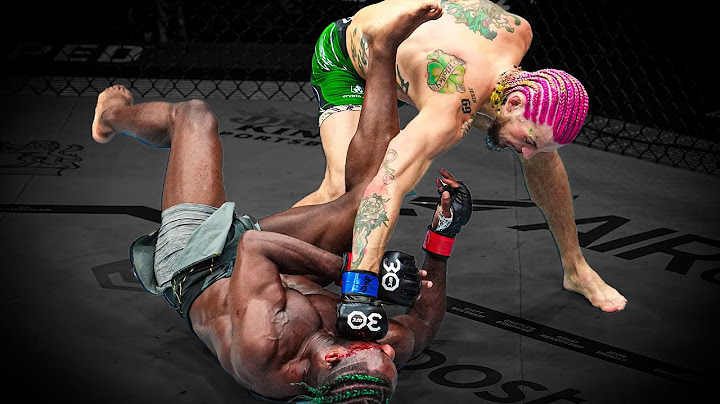 Best Finishes From UFC 306 Fighters!