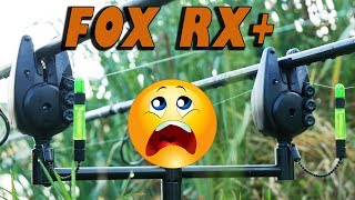 Сигнализаторы поклевки Fox RX+ за 70К. Это нужно видеть!