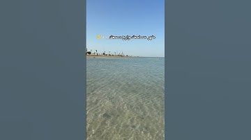 تلاوه بصوت سعد ال مخفور #اكسبلور #السعودية #كاريزما3 #ترند #قرآن #قران_كريم #الواقع #بحر #تلاوة