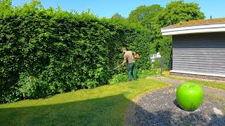 I WAS WRONG In Thinking That Trimming An OVERGROWN Beech Hedge Would Only Take TWO HOURS by Kustorez 552,677 views 11 months ago 43 minutes