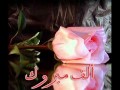 الف مليــــووون مبروك النجاح ♥ نـــــور عينــي ♥