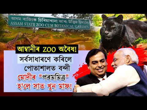 মোদীৰ "পৰম মিত্ৰ" হোৱাৰ বাবেই আম্বানীৰ ৰিলায়েন্সে নিৰ্মাণ কৰিব পাৰে নেকি বৃহৎ Private Zoo?