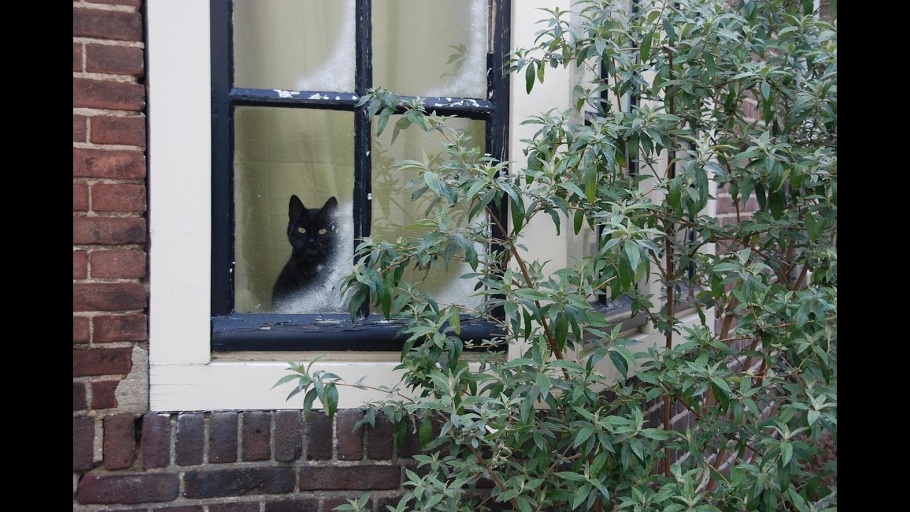 Daar boven uit dat vensterke AD 1537