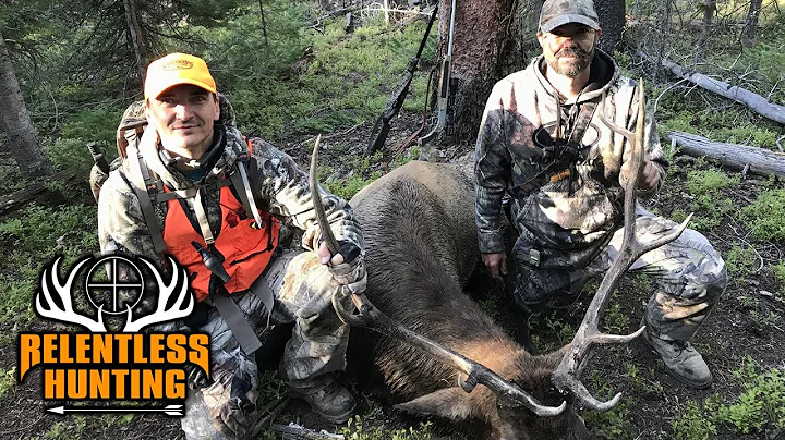 2019 Hunting Season Highlights