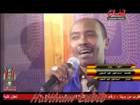 محمد خضر بشير البياح 