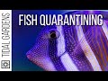 Saltwater Fish Quarantine System