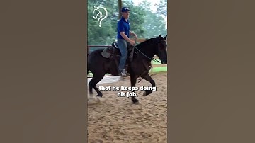 Learn How To "Ride The Eye" Of Your Horse! Part 6!  | The Horse Guru - Michael Gascon