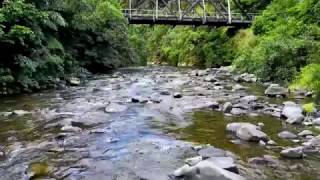 Manganuku Bridge with my Mavic. HD