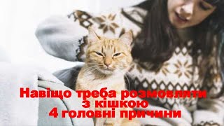 Навіщо Треба Розмовляти З Кішкою 4 Головні Причини Why Should You Talk To A Cat 4 Main Reasons