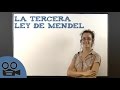 La tercera ley de Mendel