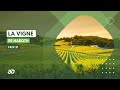 La vigne de naboth