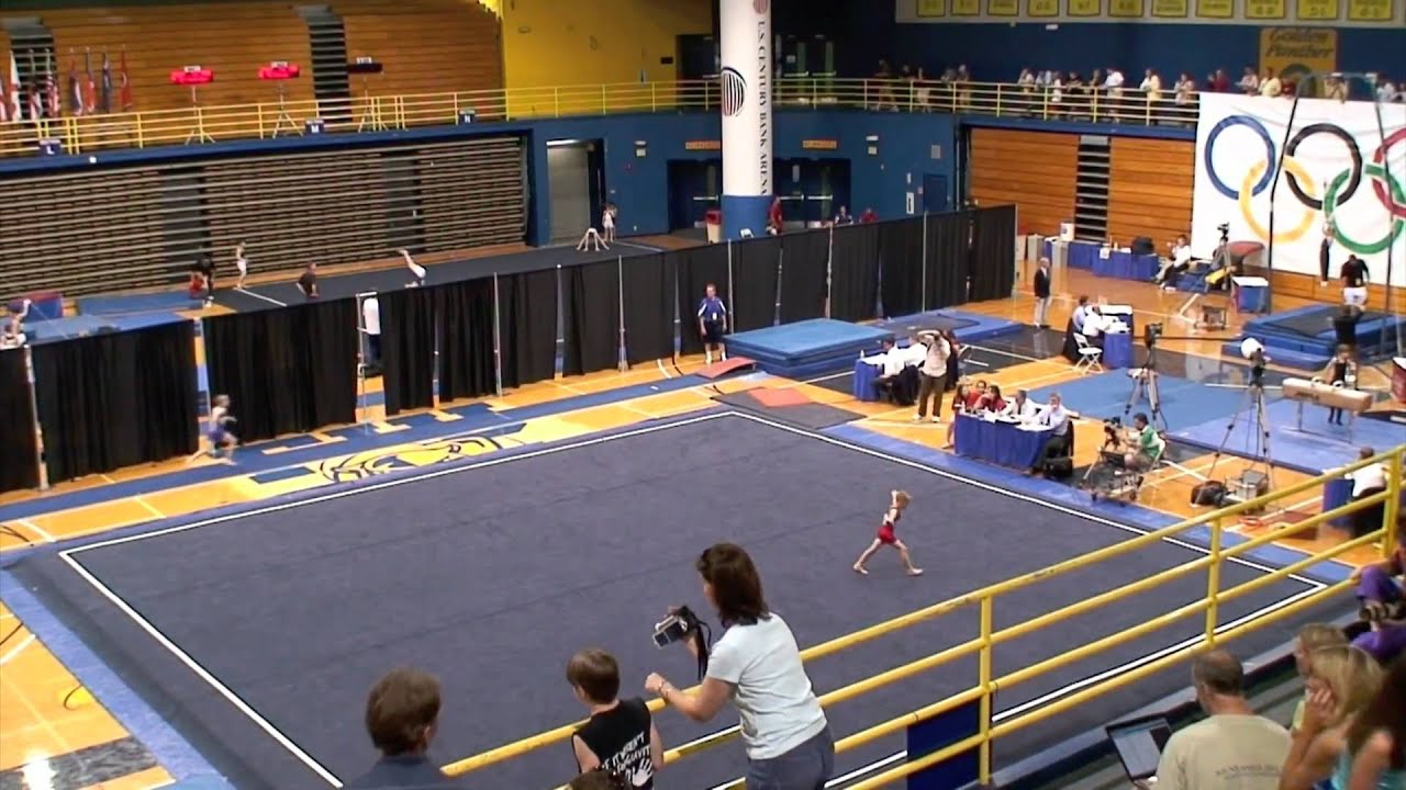 Region 8 Championships 2009 Florida Gymnastics level 5 Boys Mens