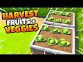 Harvest Fruits and Vegetables - Fortnite Week 14 Challenges guide