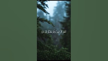 وَقَالُوا لِجُلُودِهِمْ لِمَ شَهِدتُّمْ عَلَيْنَا | سورة فصلت |القارئ:#اسلام_صبحي