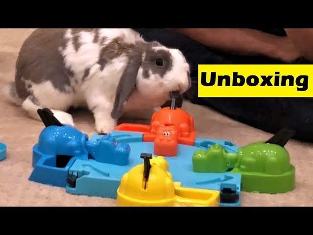 Bunny Unboxes Hungry Hungry Hippos