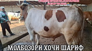 😱САВДОИ БУКАИ КАЛОН ЧИ ШУД🤷‍♂️.МОЛБОЗОРИ ХОЧИ ШАРИФ.  1 мая 2026 г