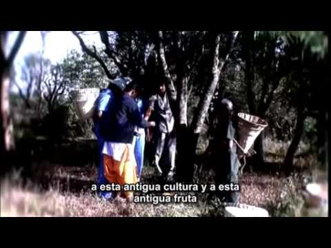 tenormin 100 controindicazioni