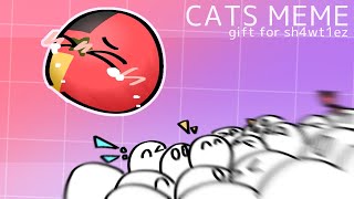 CATS MEME ◍ Gift for @sh4wt1ez