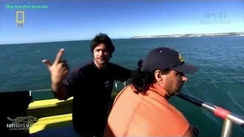 KHÁM PHÁ | Loài Quái Vật Cổ Đại Có Khả Năng Giết Cả Siêu Cá Mập MEGALODON