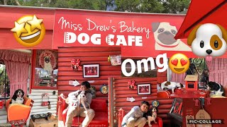 Taffy & Milo went to the Dog Cafe || How was it