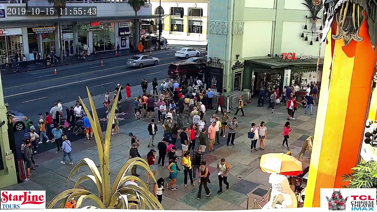 Hollywood LIVE!  YouTube
