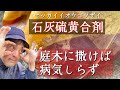 庭木の病害虫予防【石灰硫黄合剤】四つテーマで分かりやすく解説