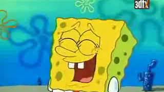 Bob Esponja
