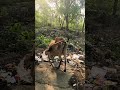 kya pida hoti hai #viral #beautful #cute #funny #bolleywoodsong #Radha#YouTube short#short