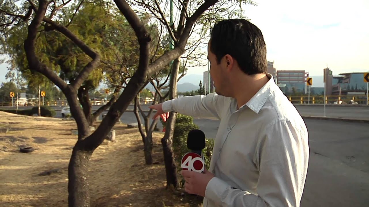 Expediente 40 - Desorden Vial