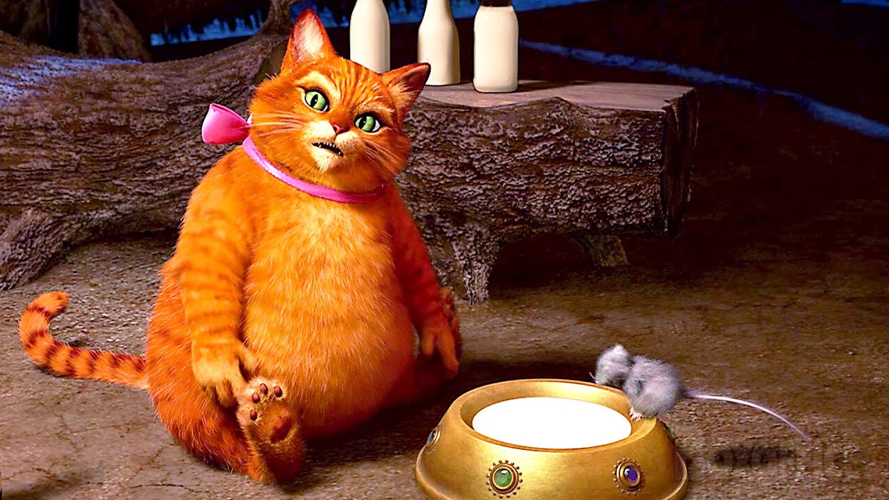 Le Chat Potelé | Shrek 4 : Il était une fin | Extrait VF, image size:1280x720