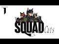 Zim S Squad Cats Episode 1 A Cup Of Tea In Fallujah