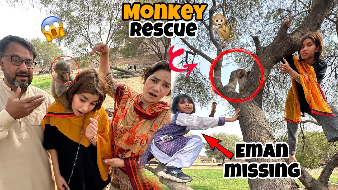 Eman school se gum ho gai 😭 monky mila iman ko 😱