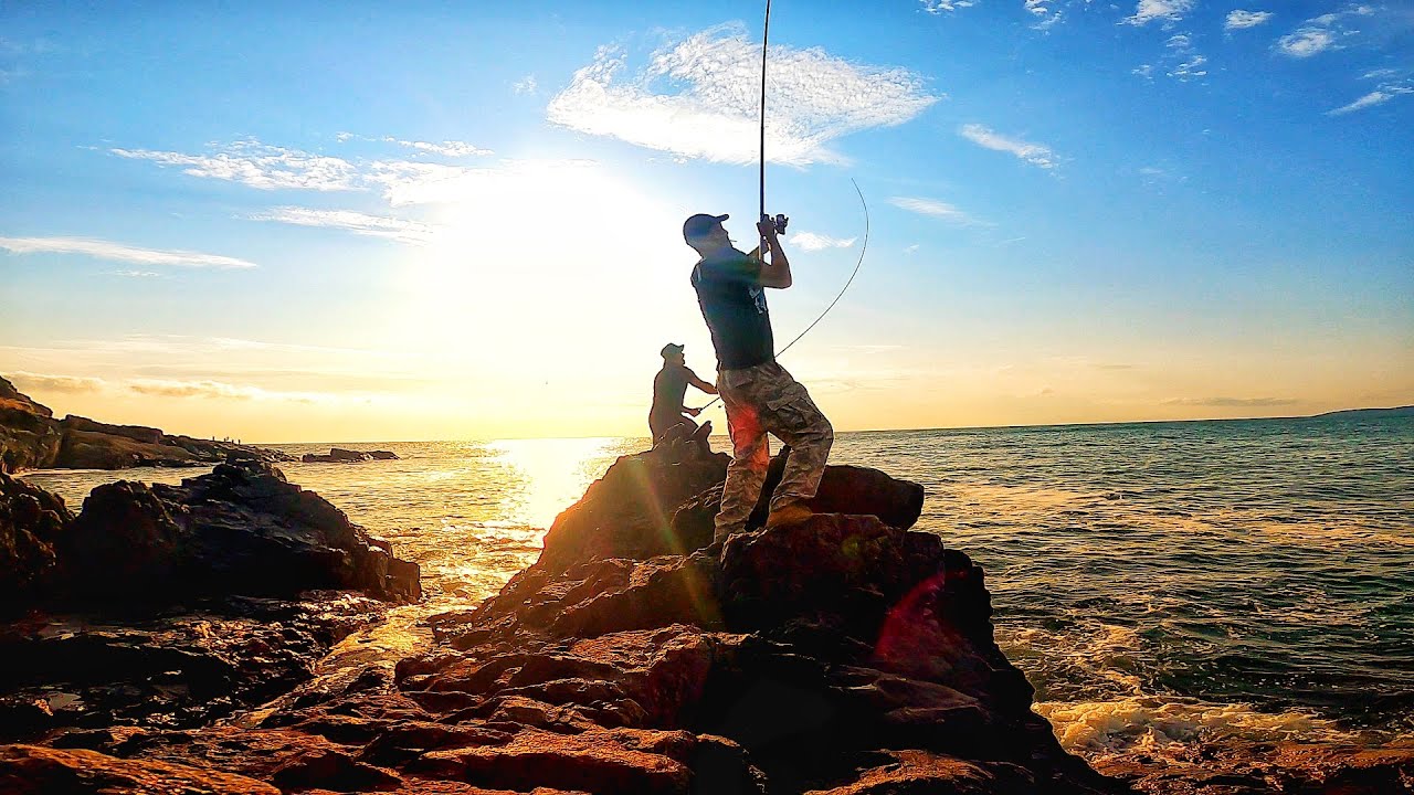 УБИХМЕ САФРИДА С КРАСИ