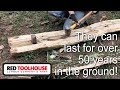 EP38: Free fence posts from our locust trees