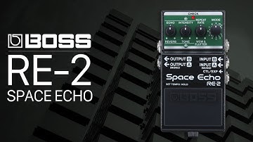 BOSS RE-2 Sound Demo (no talking) with Twisted Electrons MEGAfm and Roland SH-01a