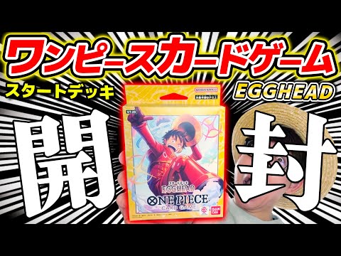 One Piece Cards] Wow! The new Luffy is here! I opened the starter
