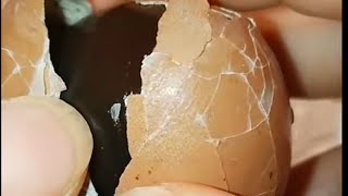 Amazing Century egg cracking #viralshorts #viralvideo #trending