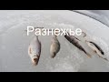 Рыбалка в Разнежье 2022.
