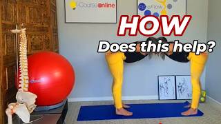 Pilates Tabletop Technique for Functional Spine & Core Strength