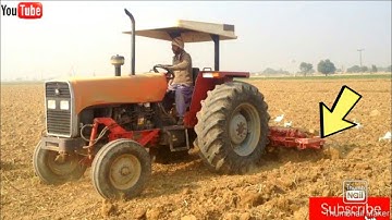 Mf 385 Tractor punjab pakistan with 5 tine chisel cultivator powerful performance.