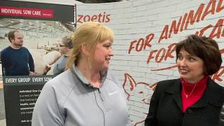 Zoetis launches Individual Sow Care