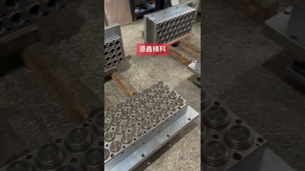 Mold Maintenance Masterclass: Extend Lifespan by 300% with These 3 Techniques 