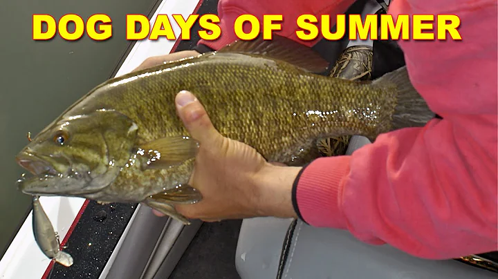 Dog Days of Summer Fishing | How To | Bass Fishing - DayDayNews
