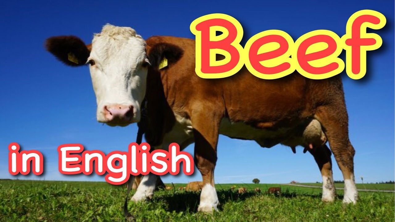 Beef in English English Vocabulary Speaking Pronunciation Practice